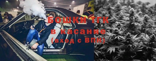 ECSTASY Медногорск