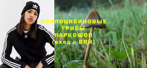 ECSTASY Медногорск