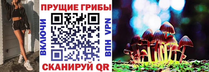 Купить  Урюпинск  Псилоцибиновые грибы прущие грибы 